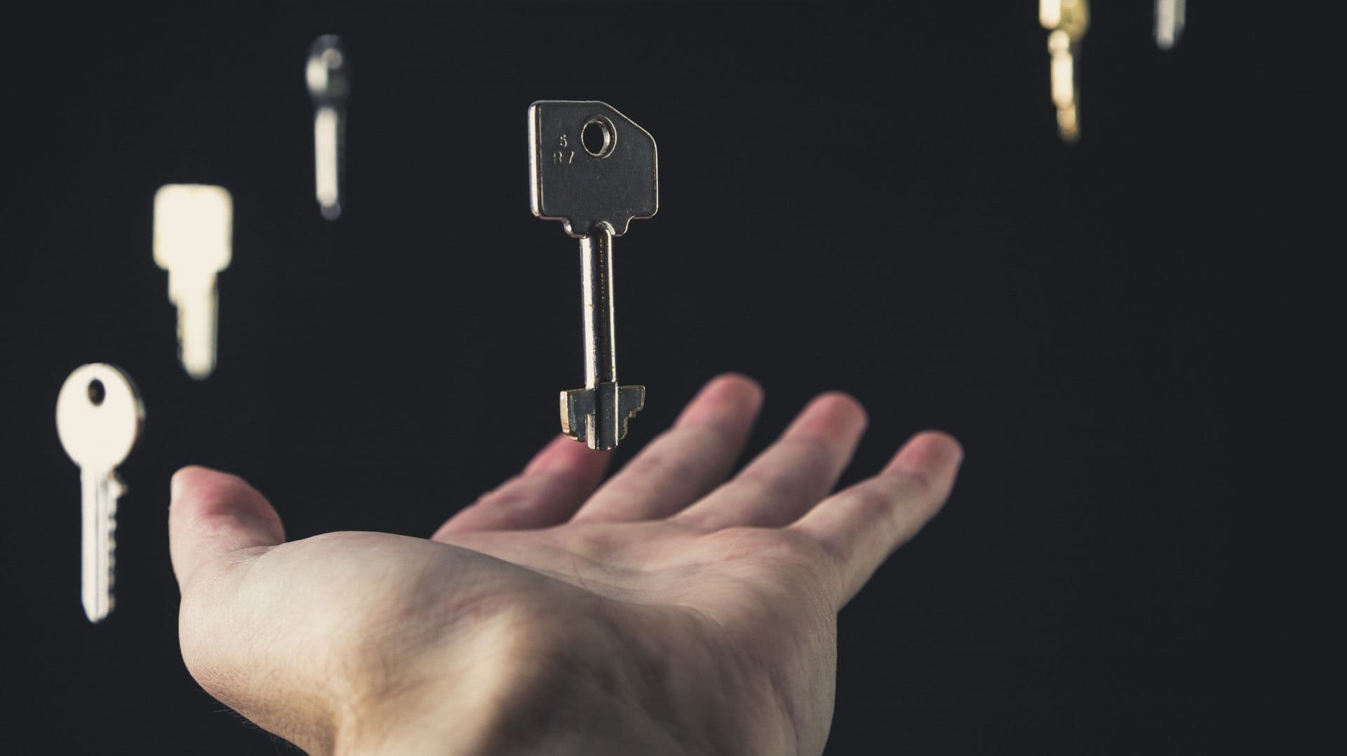 The new matched key set handed to the owner